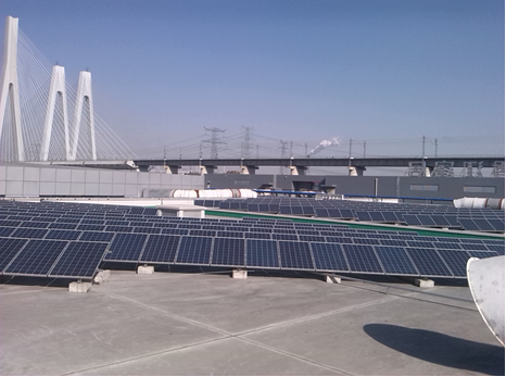 1452154155343398.png 52.png