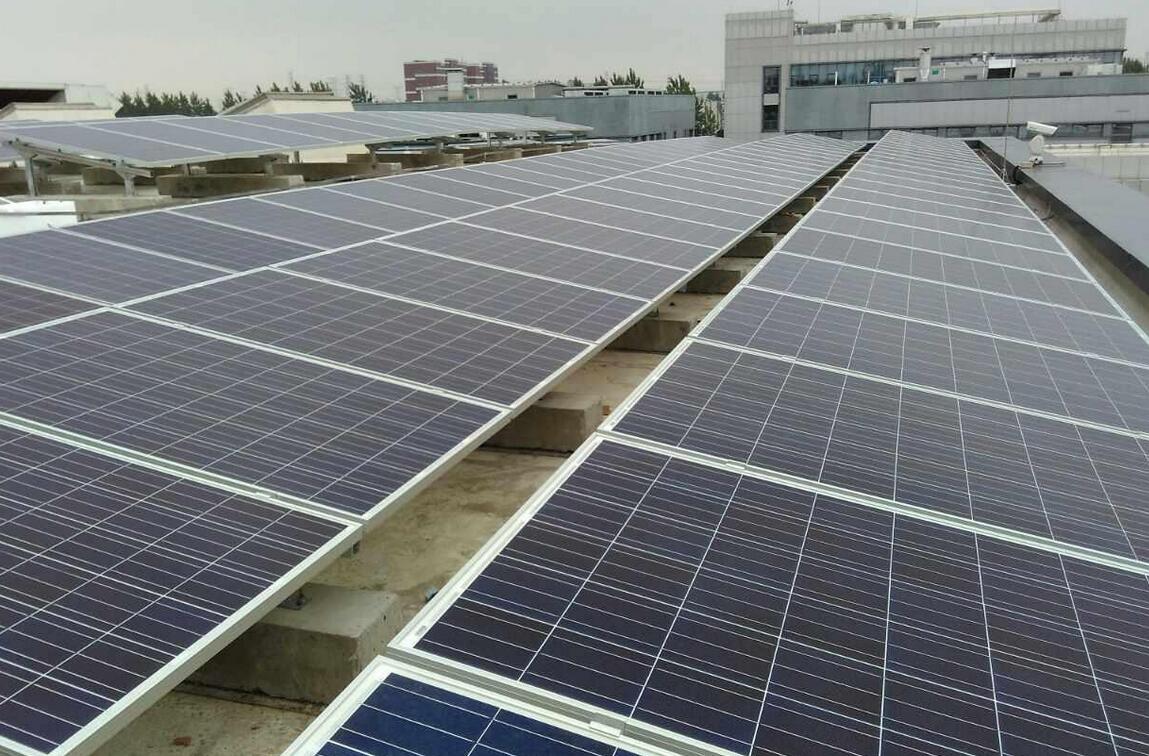 1452157347643521.jpg 102.jpg