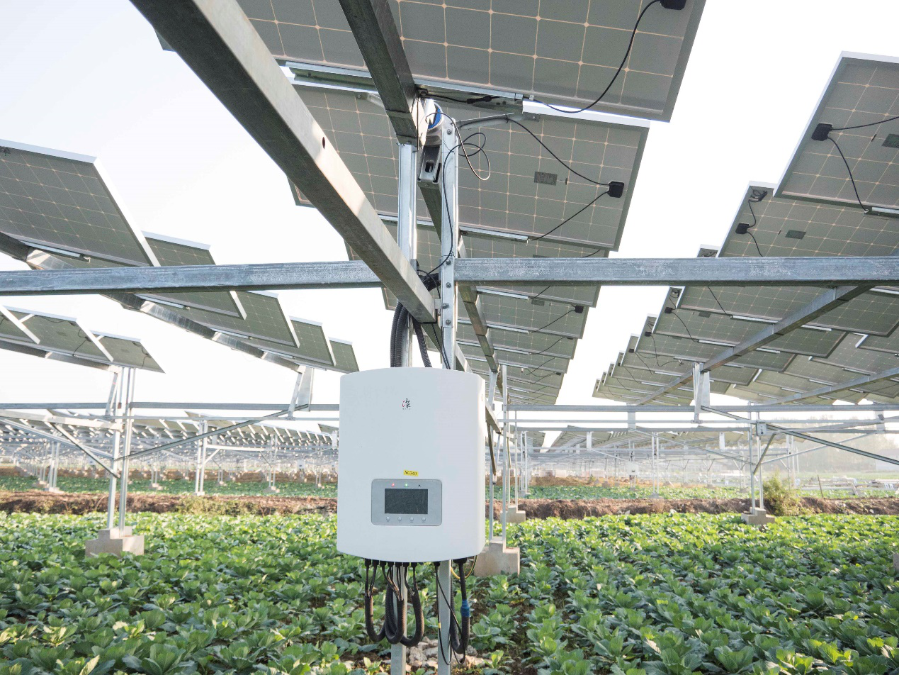 1536299230569180.png 1536299230569180.png